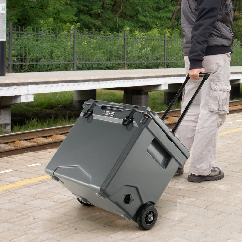 Professional Title: "42-Quart Wheeled Hard Cooler in Tan with Convenient Handle"